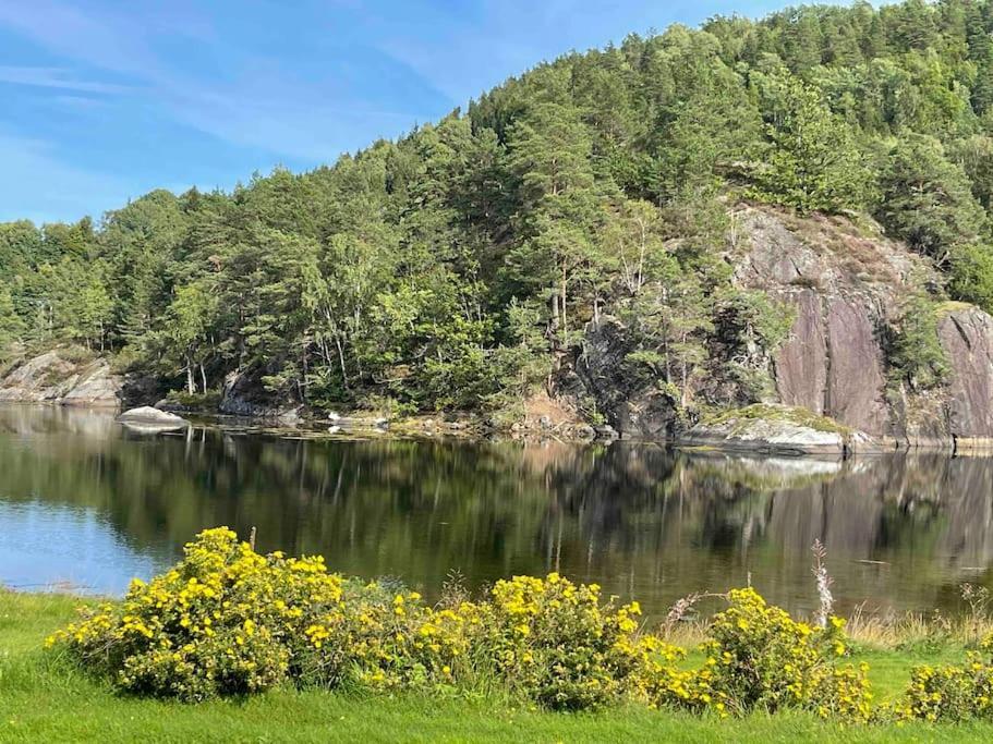 Bosvik Gard, Nyrenovert Leilighet I Hovedhus Fra 1756 Рісер Екстер'єр фото